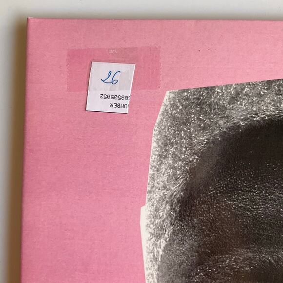Vinyl Igor, cracked, for parts only! - Picture 9 of 9
